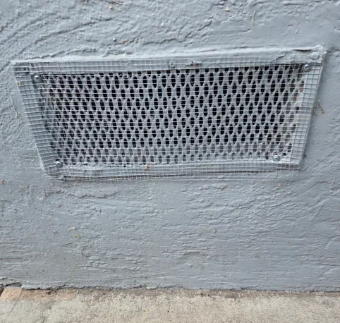 5302792226630275141.jpg