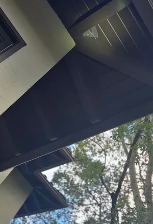 Rats+chewing+under+tile+roof+.jpg